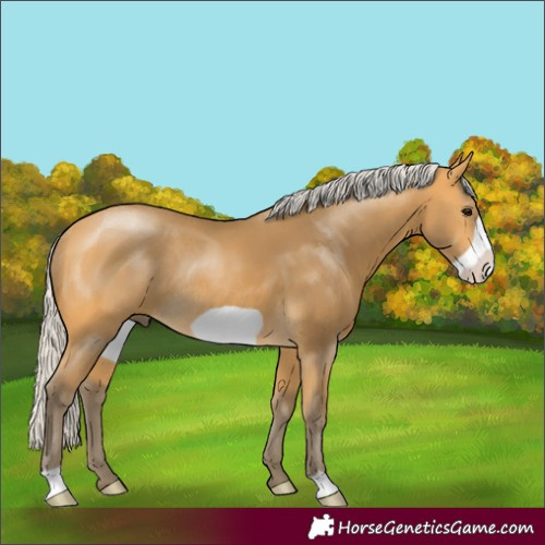 Horse Color:Silver Buckskin Frame Rabicano