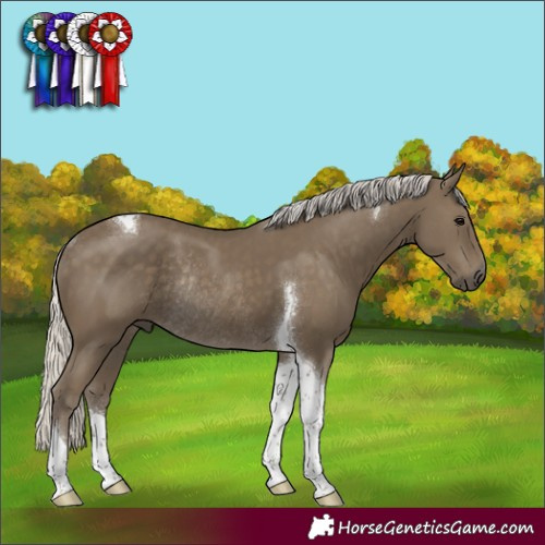 Horse Color:Silver Smoky Black Tobiano Rabicano 