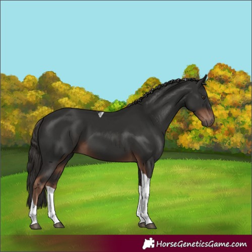 Horse Color:Liver Chestnut Tobiano 