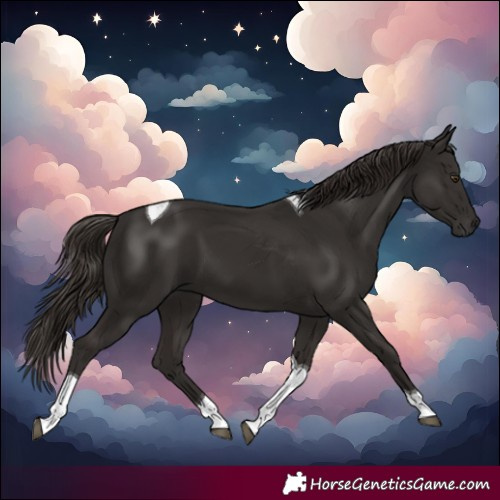 Horse Color:Liver Chestnut Tobiano