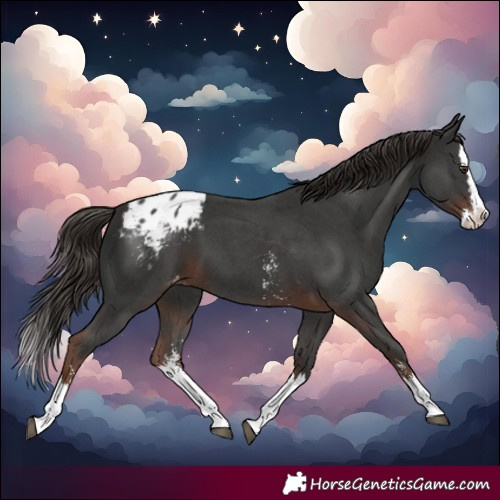 Horse Color:Liver Chestnut Sabino Splash Blanket 