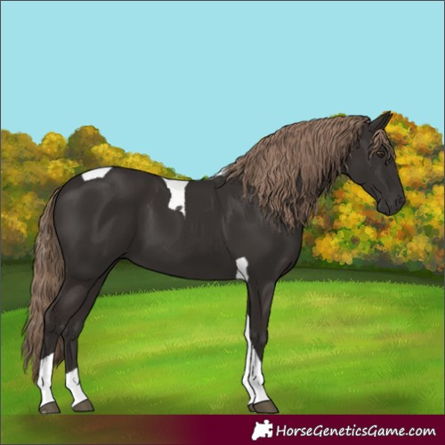 Horse Color:Liver Chestnut Tobiano 