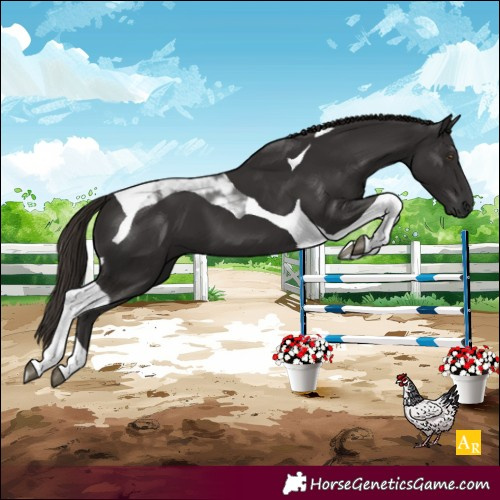 Horse Color:Liver Chestnut Tobiano 