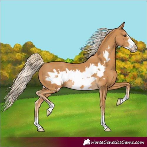 Horse Color:Palomino Frame