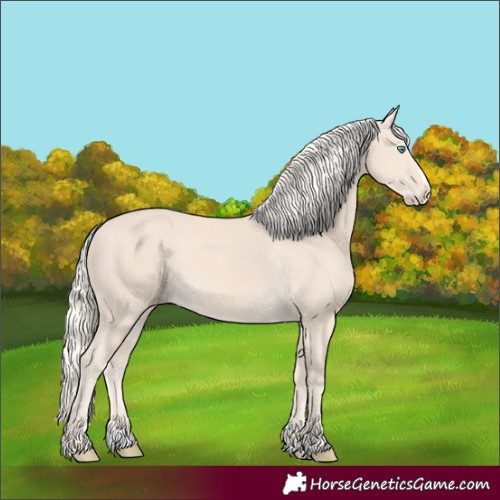 Horse Color:Cremello Splash  and Cremello Splash 