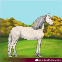 Horse Color:Cremello Splash  and Cremello Splash 