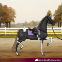 Horse Color:Liver Chestnut Tobiano 