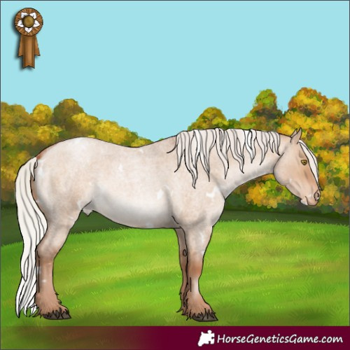 Horse Color:White Spotted Silver Brown Roan Pearl Dun Appaloosa