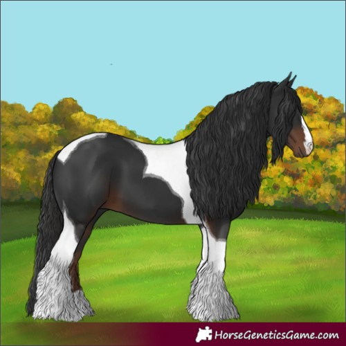 Horse Color:Liver Chestnut Tobiano 