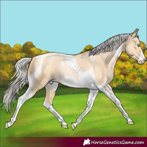 Horse Color:Silver Buckskin Pearl Tobiano Frame
