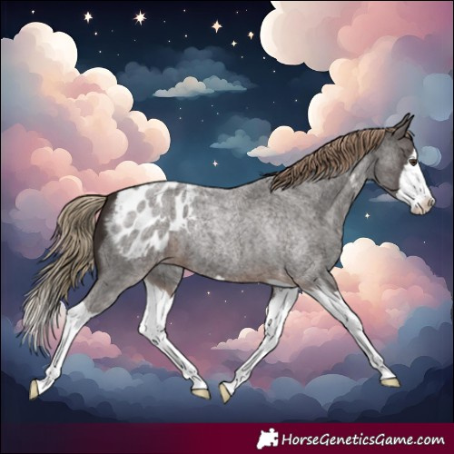 Horse Color:Liver Red Roan Sabino Splash Blanket 