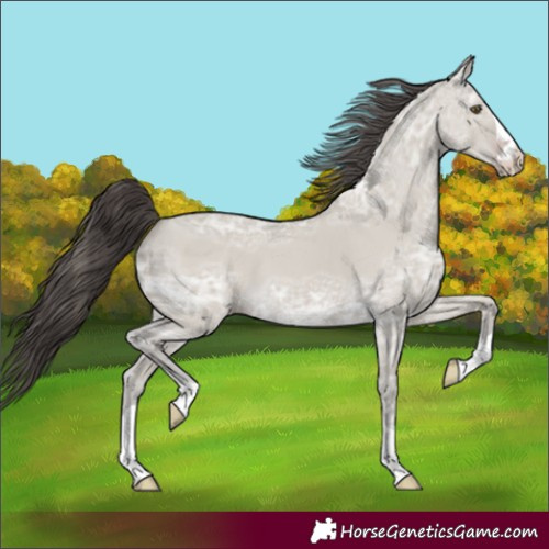 Horse Color:Classic Cream Champagne Ice Dun 