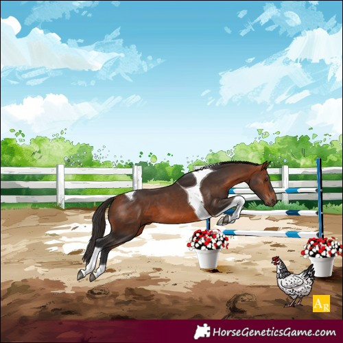 Horse Color:Bay Tobiano 