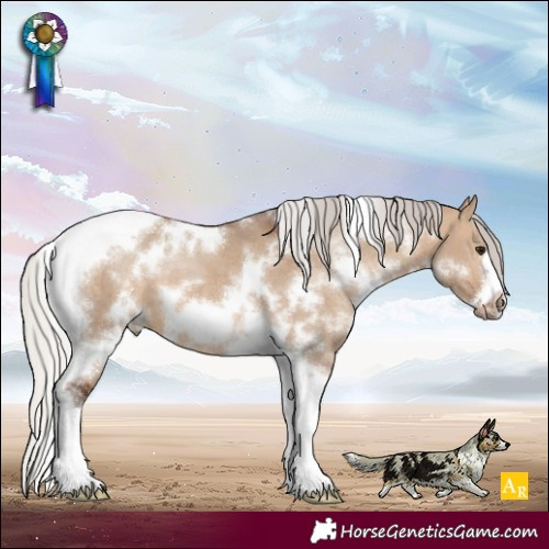 Horse Color:White Spotted Silver Brown Dun Tobiano Frame