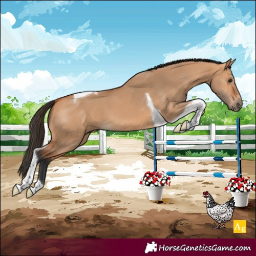Horse Color:Bay Dun Tobiano