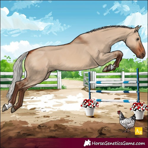 Horse Color:Unknown 