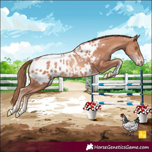 Horse Color:Unknown 