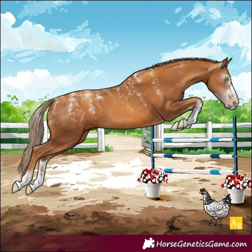 Horse Color:Powder White Gray Gold Champagne