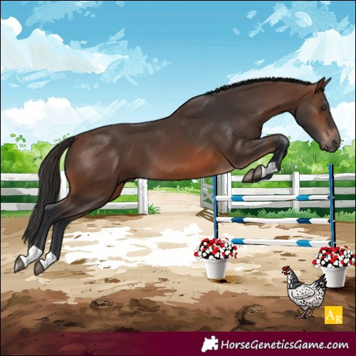 Horse Color:Unknown 