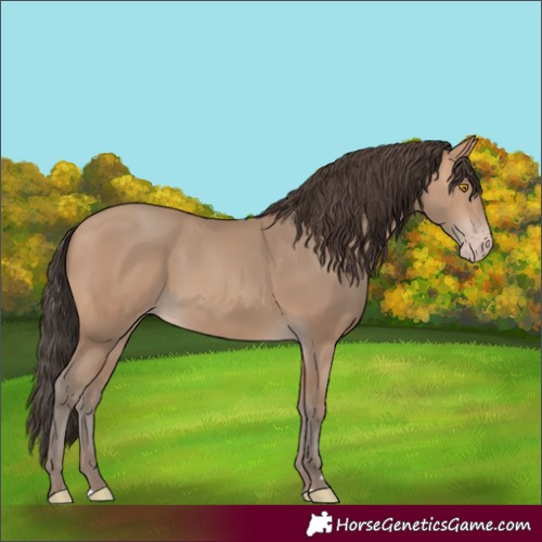 Horse Color:Amber Champagne 
