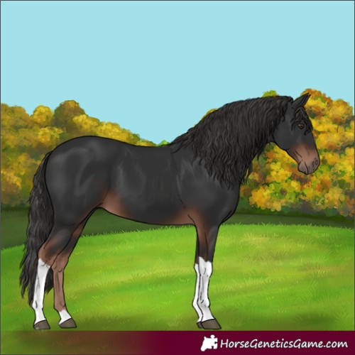 Horse Color:Liver Chestnut Tobiano 