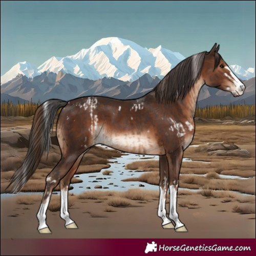 Horse Color:White Spotted Bay Splash  and Liver Chestnut 