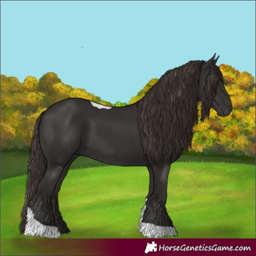 Horse Color:Liver Chestnut Tobiano