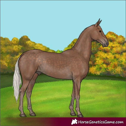 Horse Color:Silver Black