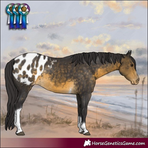 Horse Color:Buckskin Tobiano Blanket Rabicano