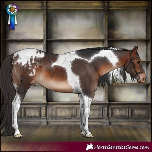 Horse Color:Brown Tobiano Blanket 