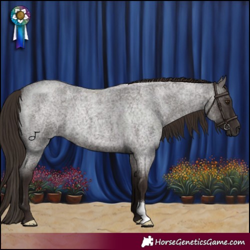 Horse Color:Liver Red Roan