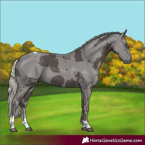 Horse Color:Silver Black Merle Sabino Tobiano 