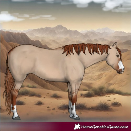 Horse Color:Red Dun 