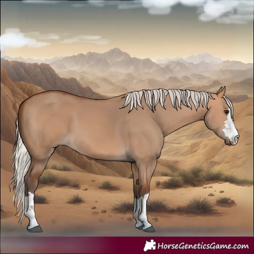 Horse Color:Silver Bay Dun 