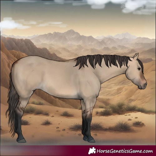 Horse Color:Bay Dun