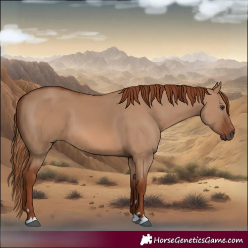 Horse Color:Red Dun