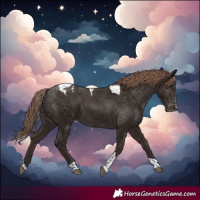 Horse Color:Liver Chestnut Tobiano Blanket 