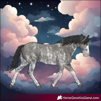 Horse Color:Grullo Sabino Rabicano 