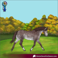 Horse Color:Chocolate Brown Chinchilla 