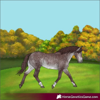 Horse Color:Chocolate Brown Chinchilla