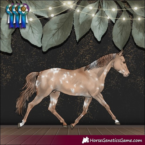 Horse Color:White Spotted Red Dun 