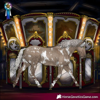 Horse Color:White Spotted Silver Grullo Rabicano