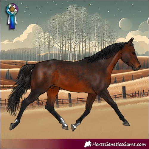 Horse Color:Gray Bay