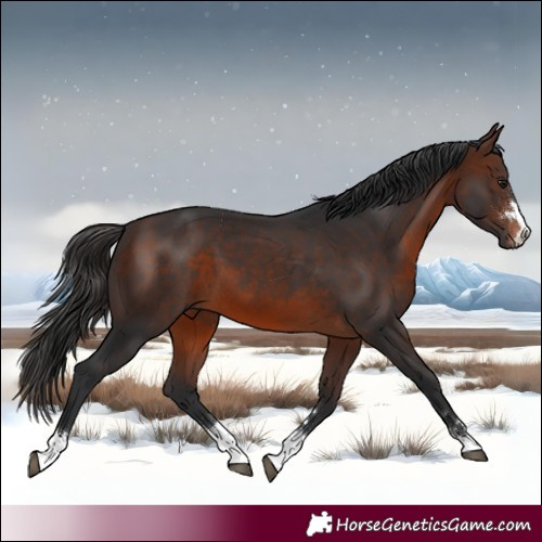 Horse Color:Brown 