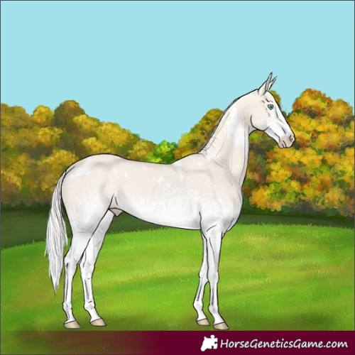 Horse Color:White Spotted Silver Smoky Creme Dun Rabicano