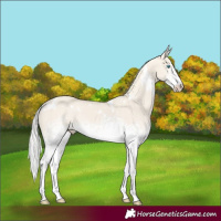 Horse Color:White Spotted Silver Smoky Creme Dun Rabicano