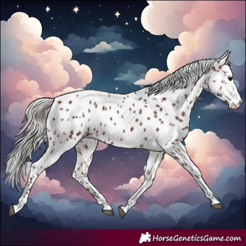 Horse Color:Silver Brown Tobiano Leopard