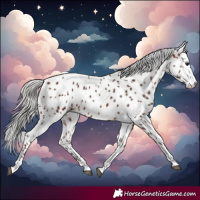 Horse Color:Silver Brown Tobiano Leopard