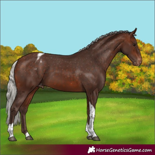 Horse Color:Silver Brown Tobiano Varnish 