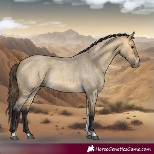 Horse Color:Buckskin Roan Dun Tobiano 